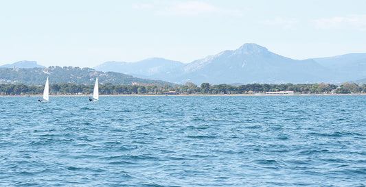 The Good, the Bad, and the Polluted: A Look at Water Quality for Sailors and Watersports.